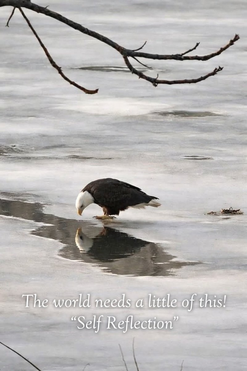 Lord watch over all of us!🙏