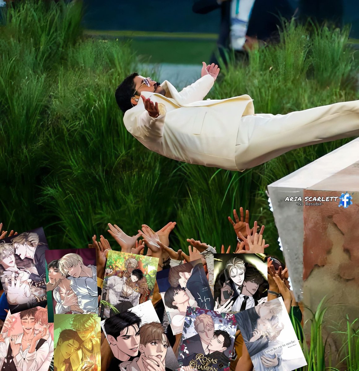 Yo cayendo en el mundo BL: