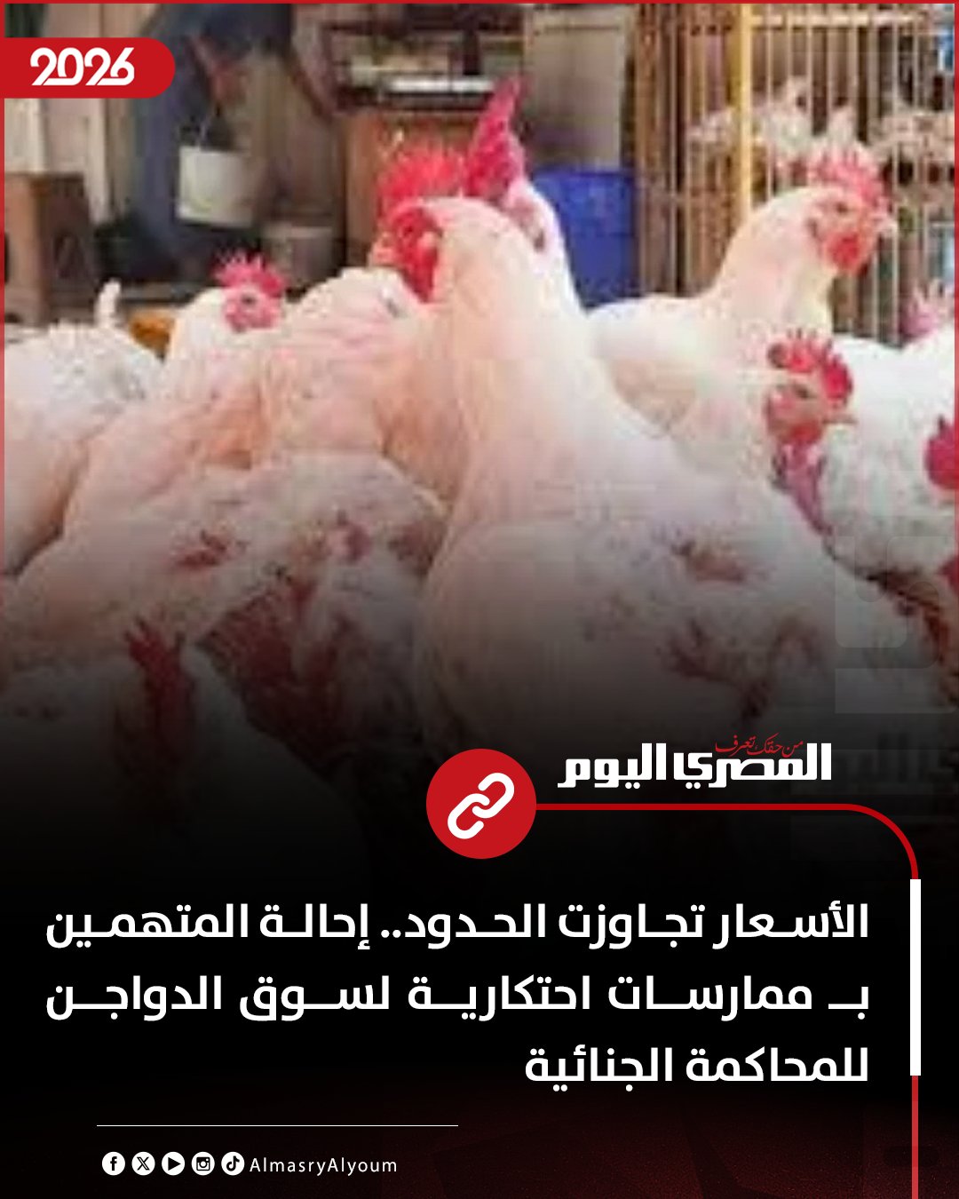 الأسعار تجاوزت الحدود.. إحالة المتهمين بـ ممارسات احتكارية لسوق الدواجن للمحاكمة الجنائية 