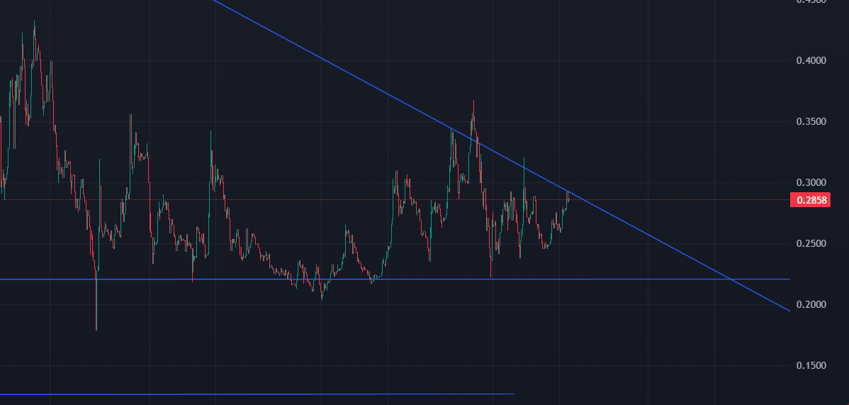 The thinker tweet media