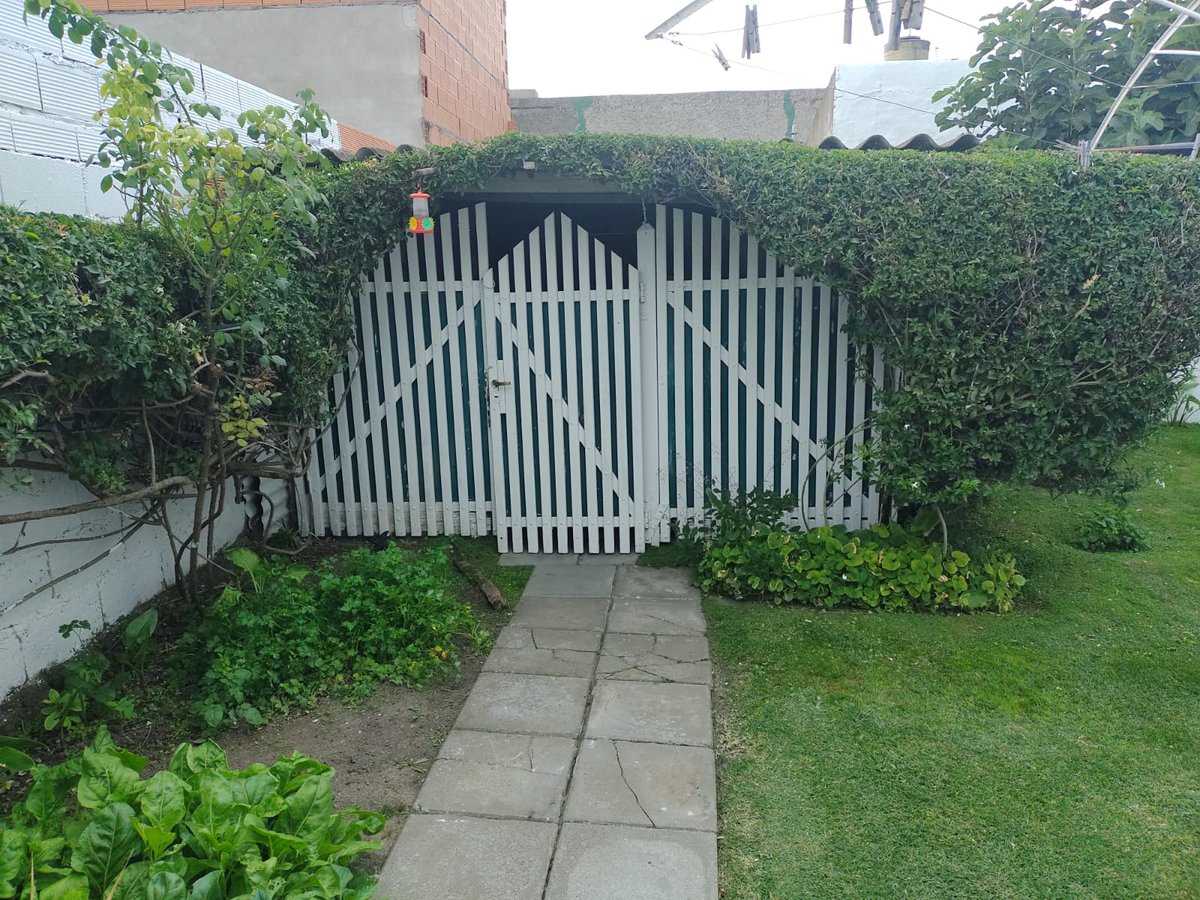 Mis viejos tienen una casita de hobbit