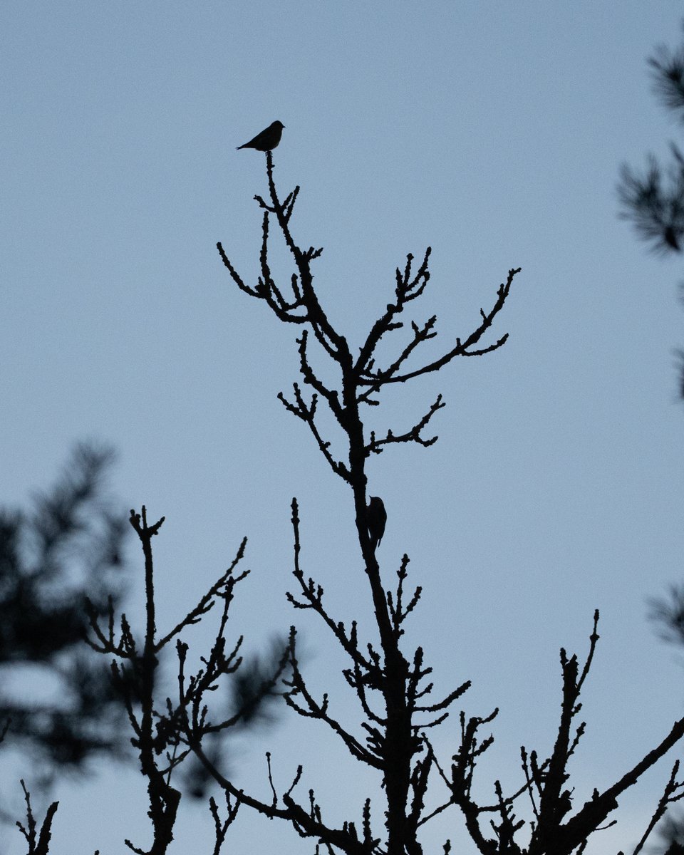 Jake Gearty tweet media