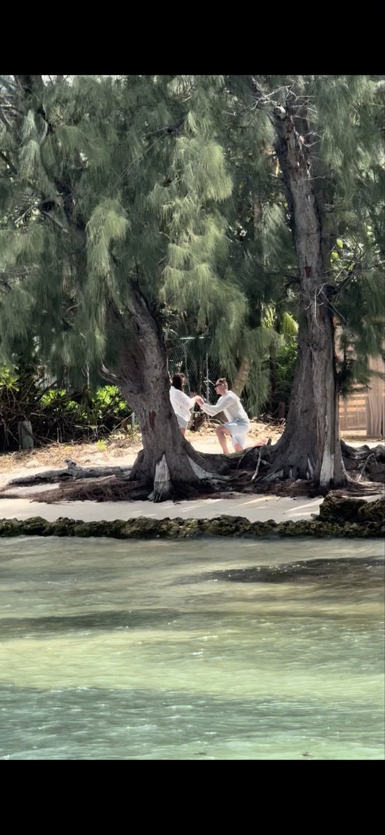 The Bergler tweet media