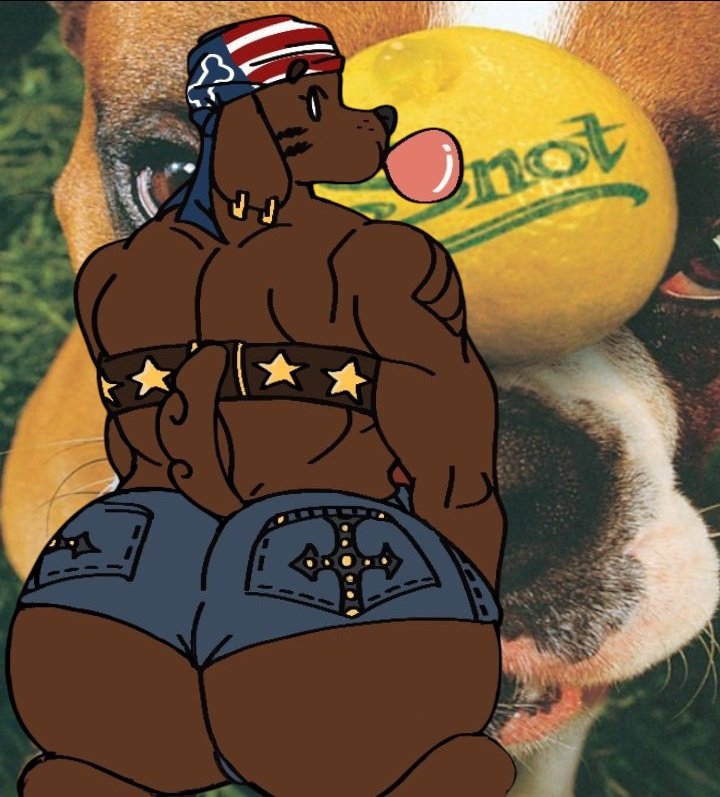 Kneecaps tweet media