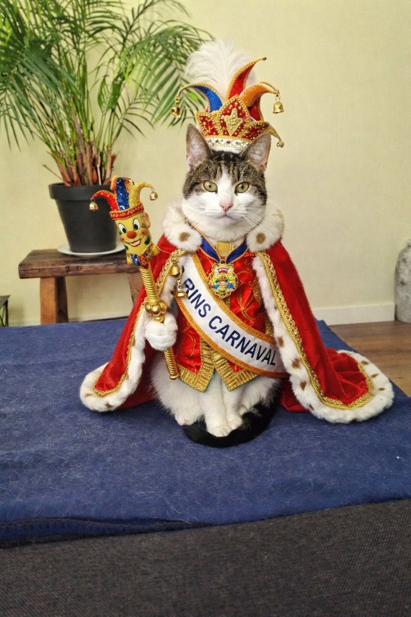 Bram is het dit jaar geworden.  Vanavond feest in het café "De poes met haar vijf pootjes".