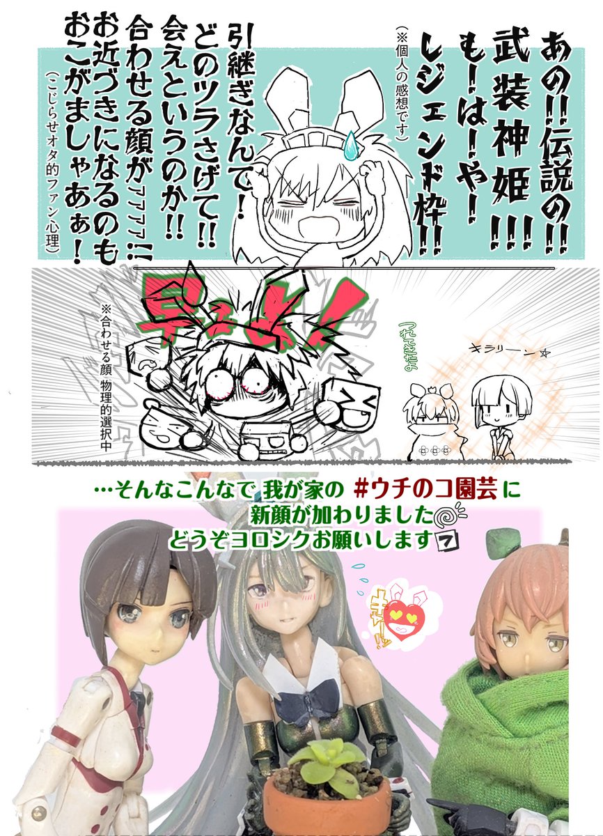 作ってからだいぶ間が開いちゃいましたけど
ちょとヘタレな新顔ウチのコ、どうぞよろしくお願いします
( ;ಠ⁠ _⁠ ಠ ) ヨヨヨヨヨロシクデス!

#ウチのコ園芸 