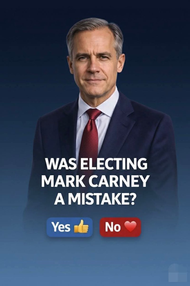 Olena Rohoza tweet media