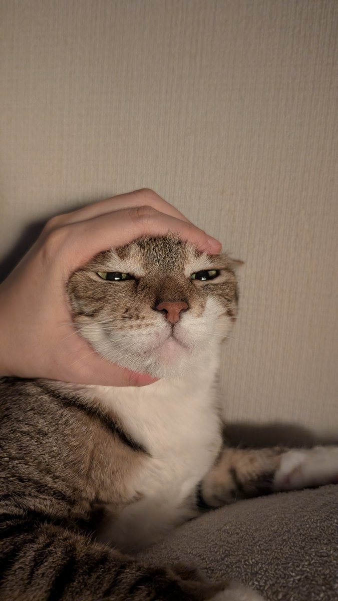 𝑆𝐼𝐴𝑁 (@SIAN_FKP_37) / Posts / X