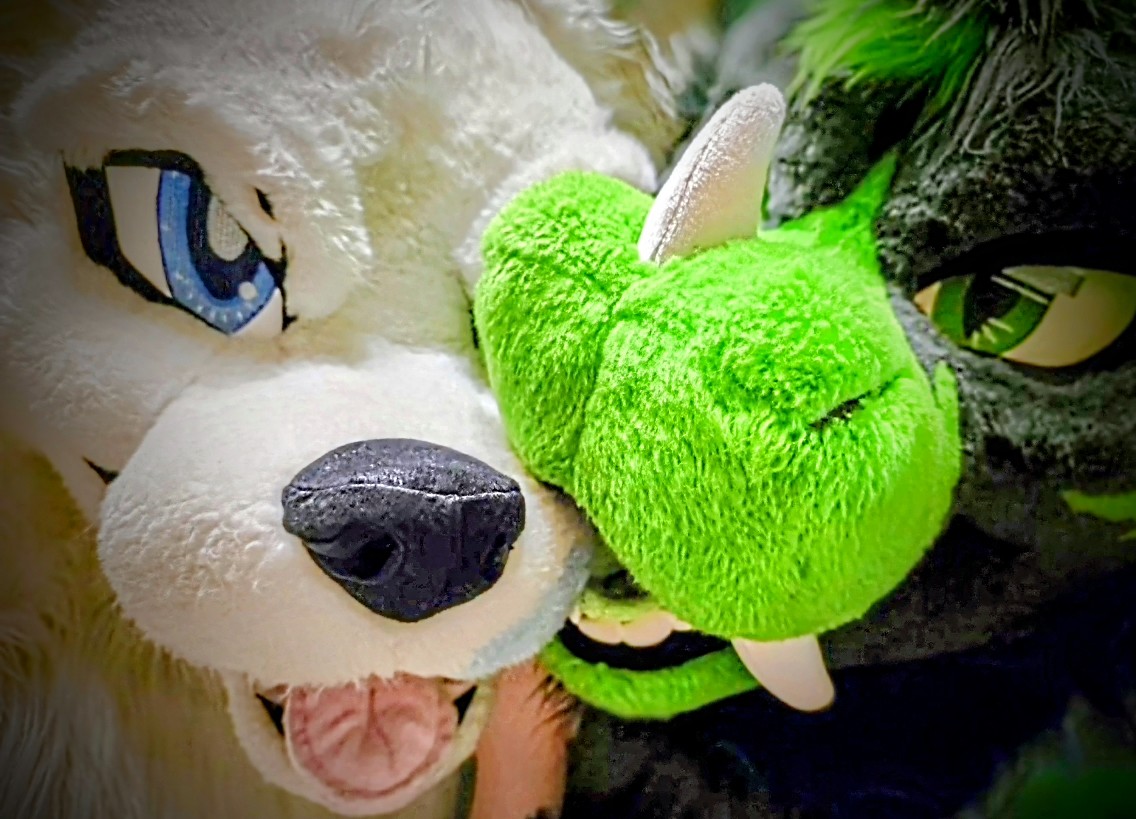 ZigTheDragon 🐲 tweet media