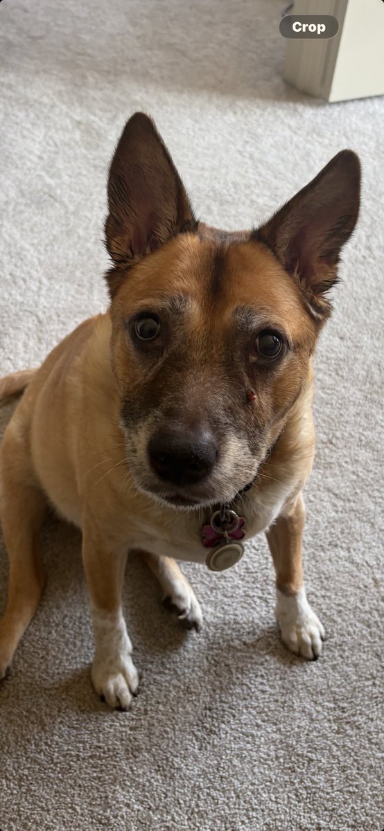 Minnie's mom tweet media