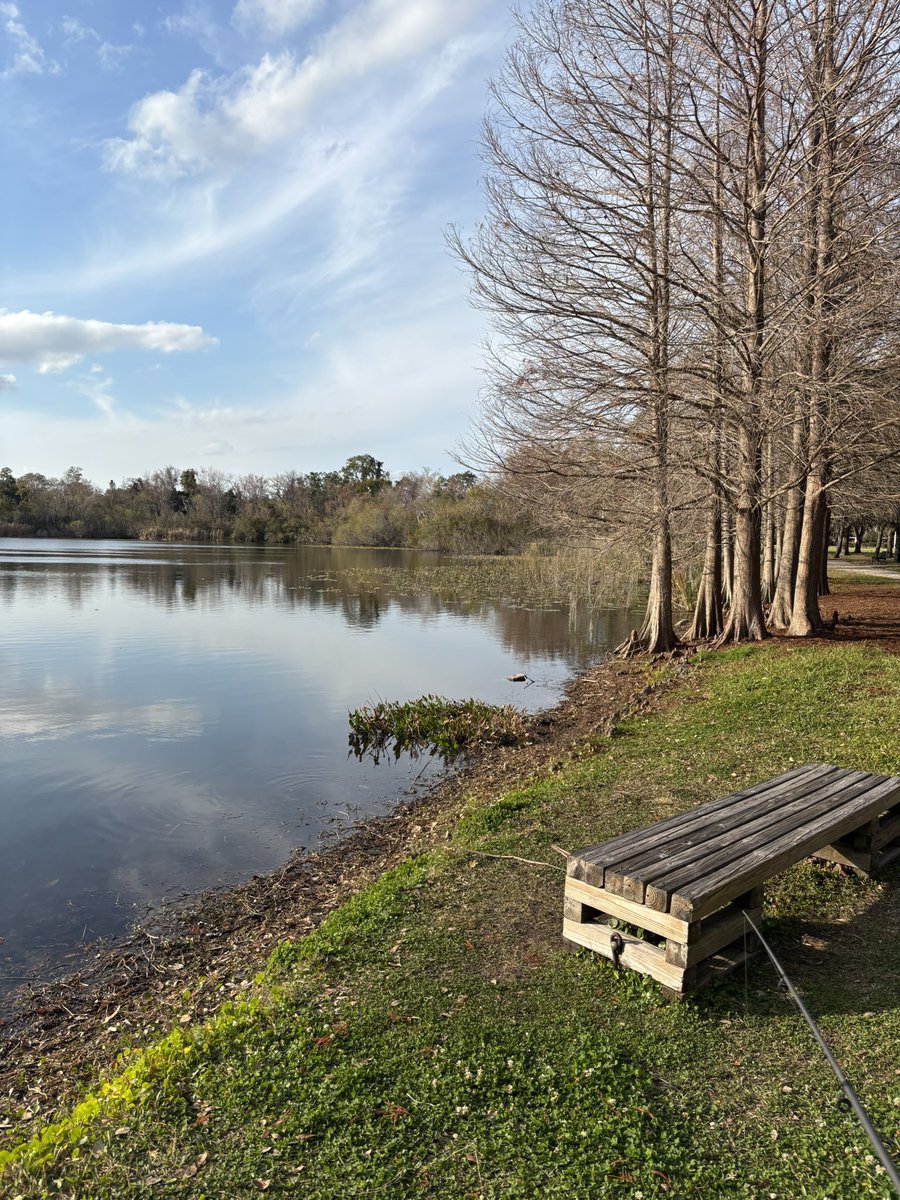 dope, it is tom tweet media