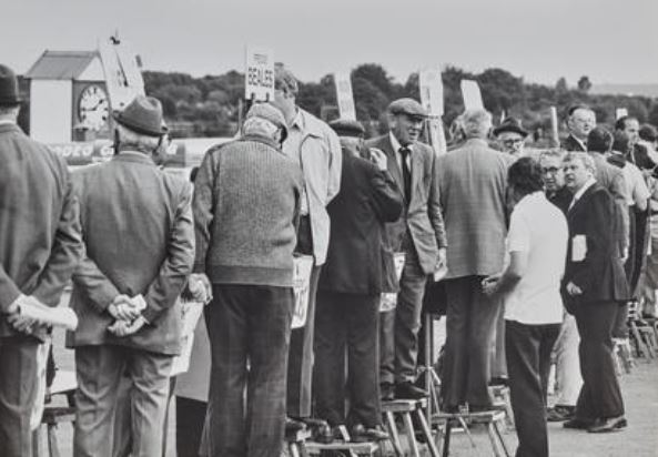 Sports & Betting History by BestBettingSites tweet media