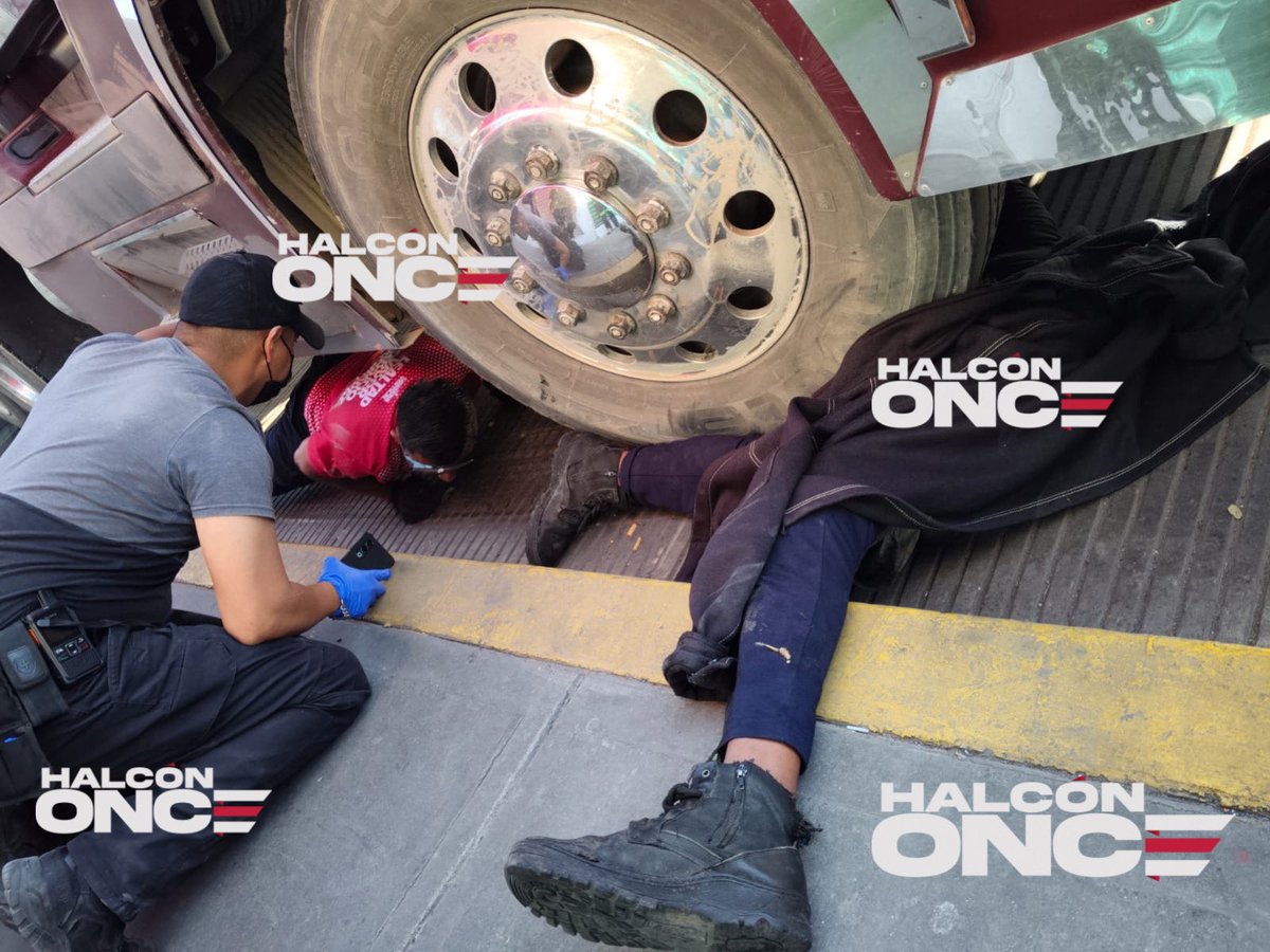 Halcon tweet media