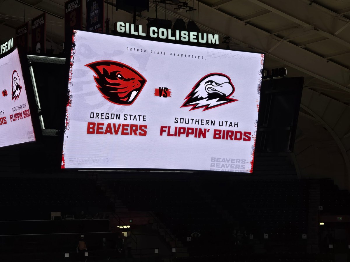 Tom Windedahl Jr tweet media