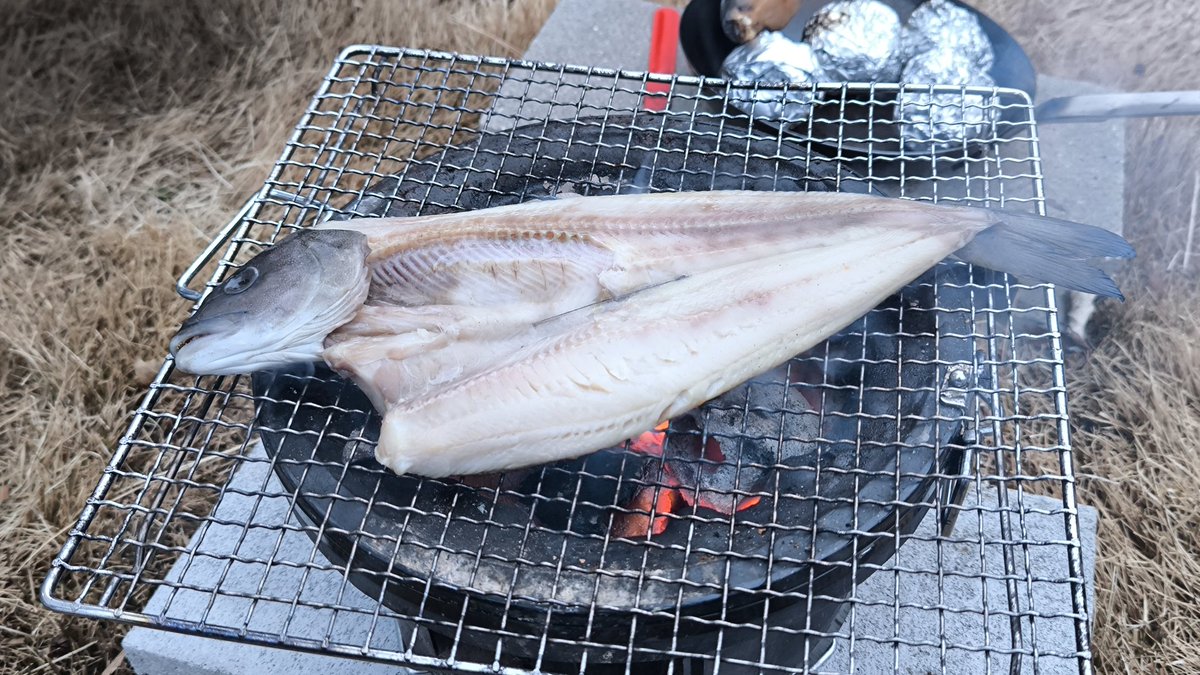 朝から炭火でホッケなんて最高じゃないかいって
は な し 🩷