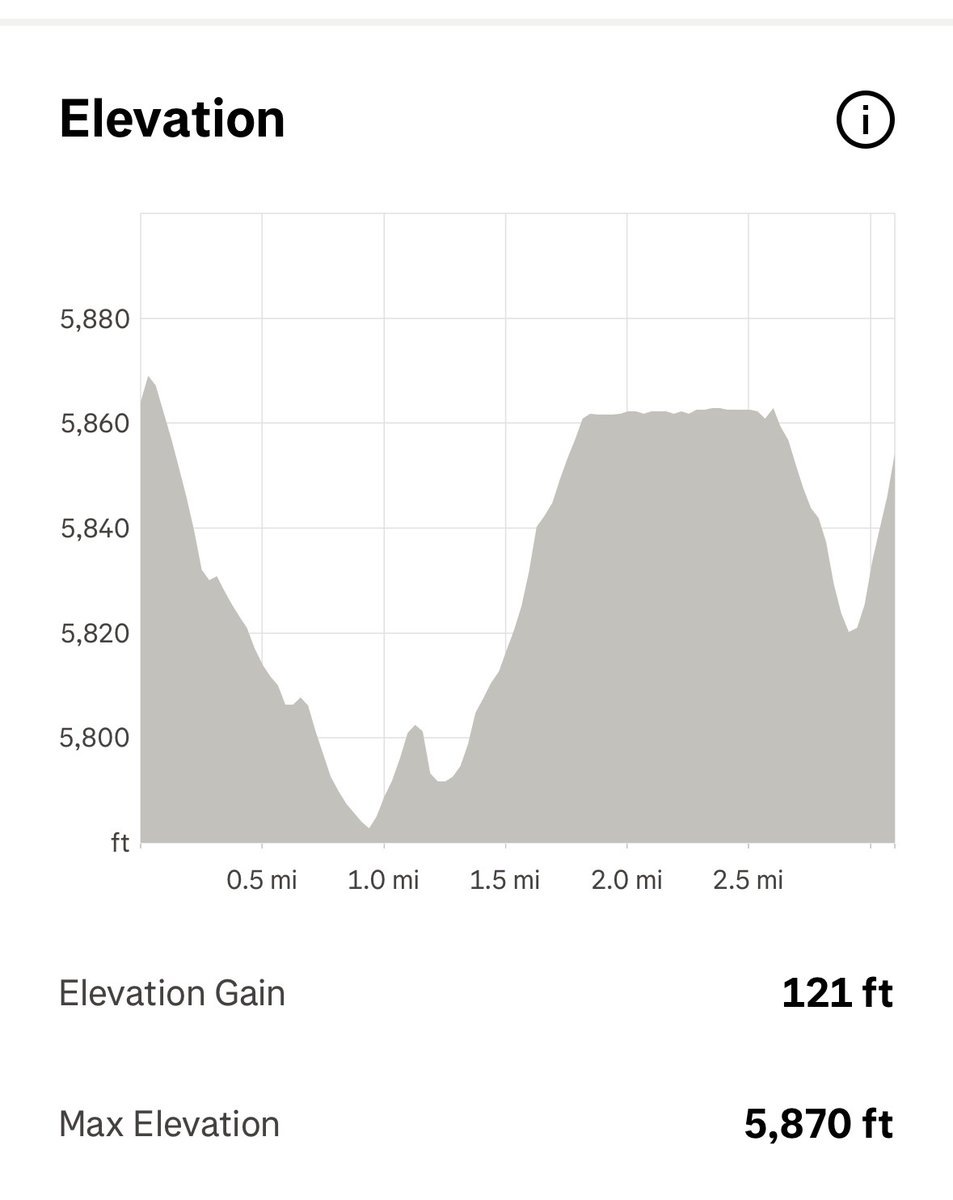 Debbie Early tweet media