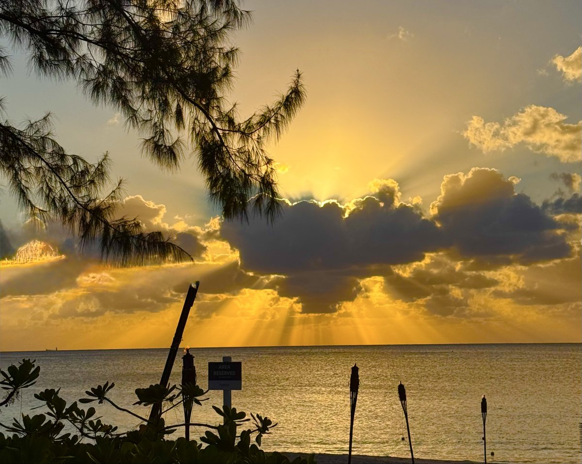 nancycallaghan's tweet photo. The Grand Caymans didn’t disappoint!The staff at the Westin were fantastic! So friendly and helpful!Harry &amp; Penny stellar!
Coming home on WestJet our flight attendant was amazing! Her name was Theresa on flight 2033 arriving in Toronto!
#westjet
#westincayman https://t.co/MajN9TYAXa