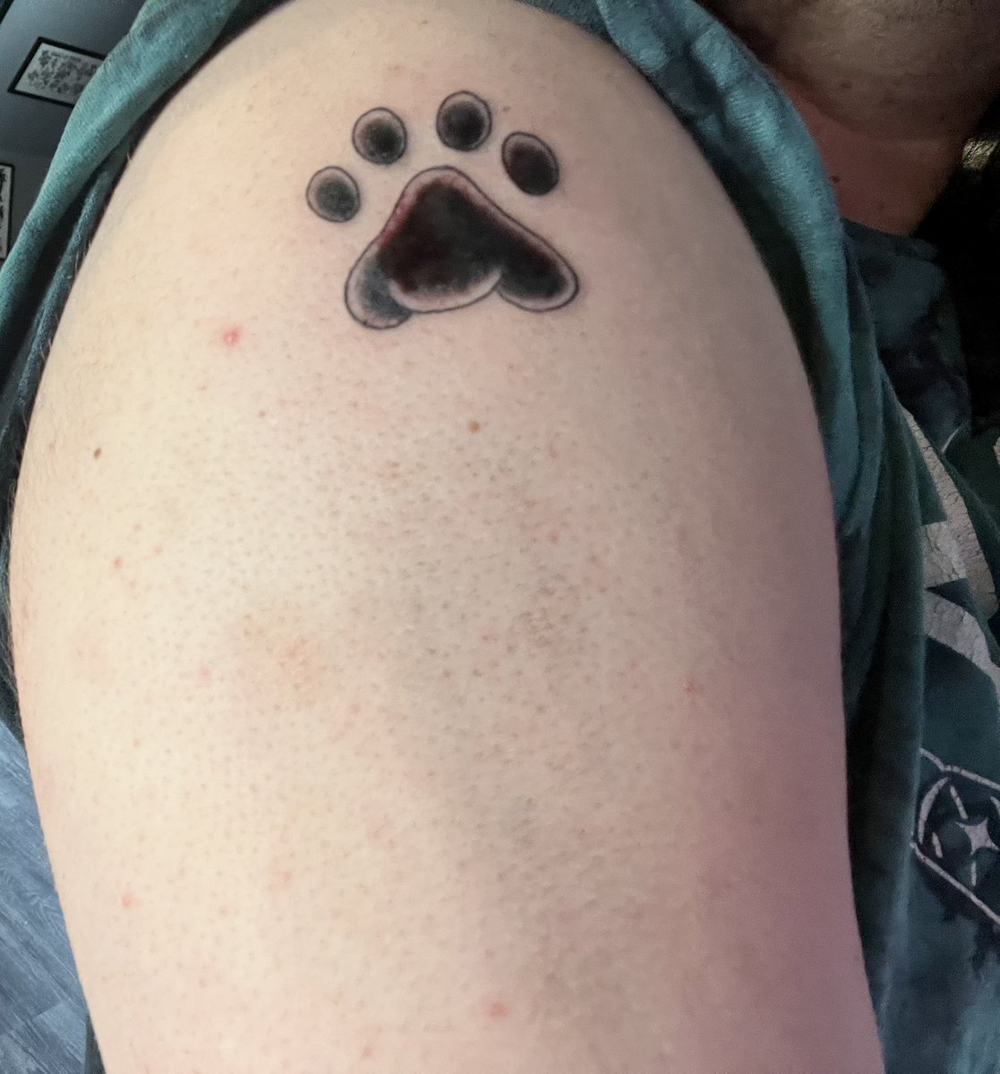Got my first tattoo meow :3c