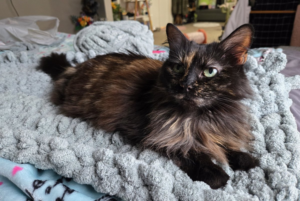 krista🦥 tweet media