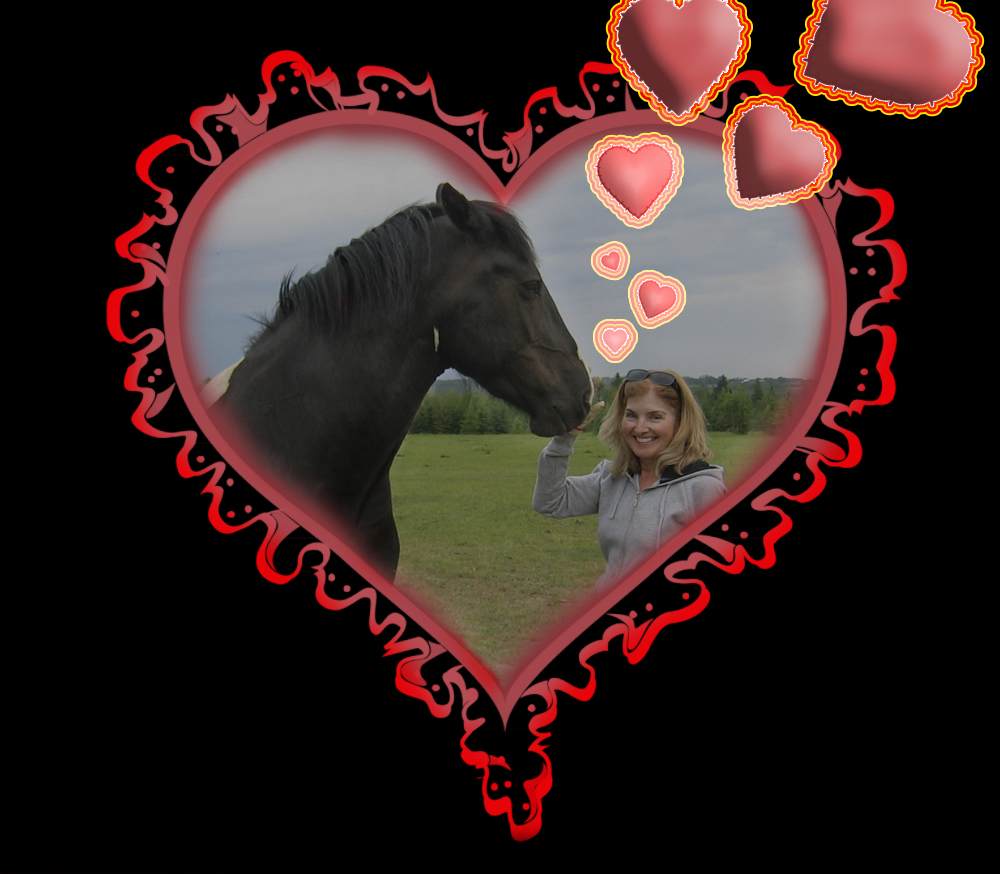 Shannon Kernaghan tweet media