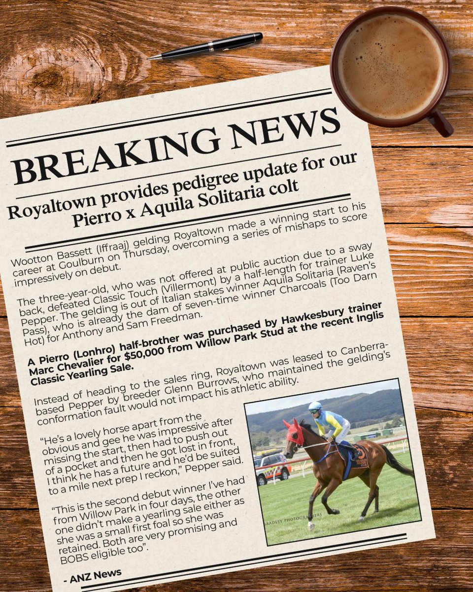 Marc Chevalier Racing tweet media