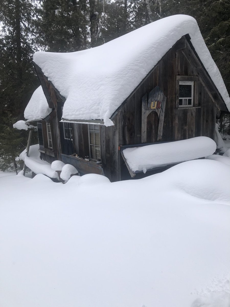 echrepairs's tweet photo. Hiked in to the wee house in the woods. 1 km took almost 2hrs. Worth it. #canadastuff https://t.co/OxUdM4eyH5