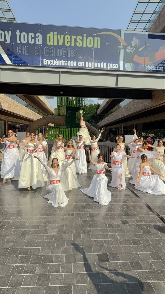 VIX's tweet image. Todo mundo está buscando a Silvia Curiel de Bodas S.A. para que le organice su fiesta 💐

Si alguien la encuentra por favor mandarnos inbox 🙏🏻

Mira en #ViX todos los episodios de #Bodas 👉🏻 bit.ly/3Os9gid