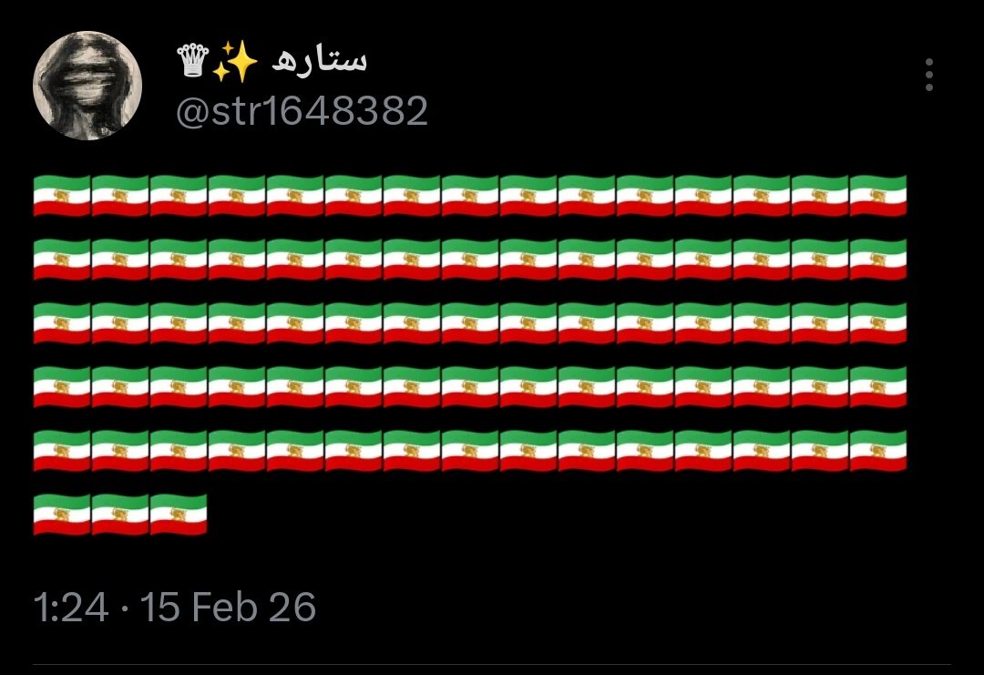 ✨️🇮🇷 tweet media