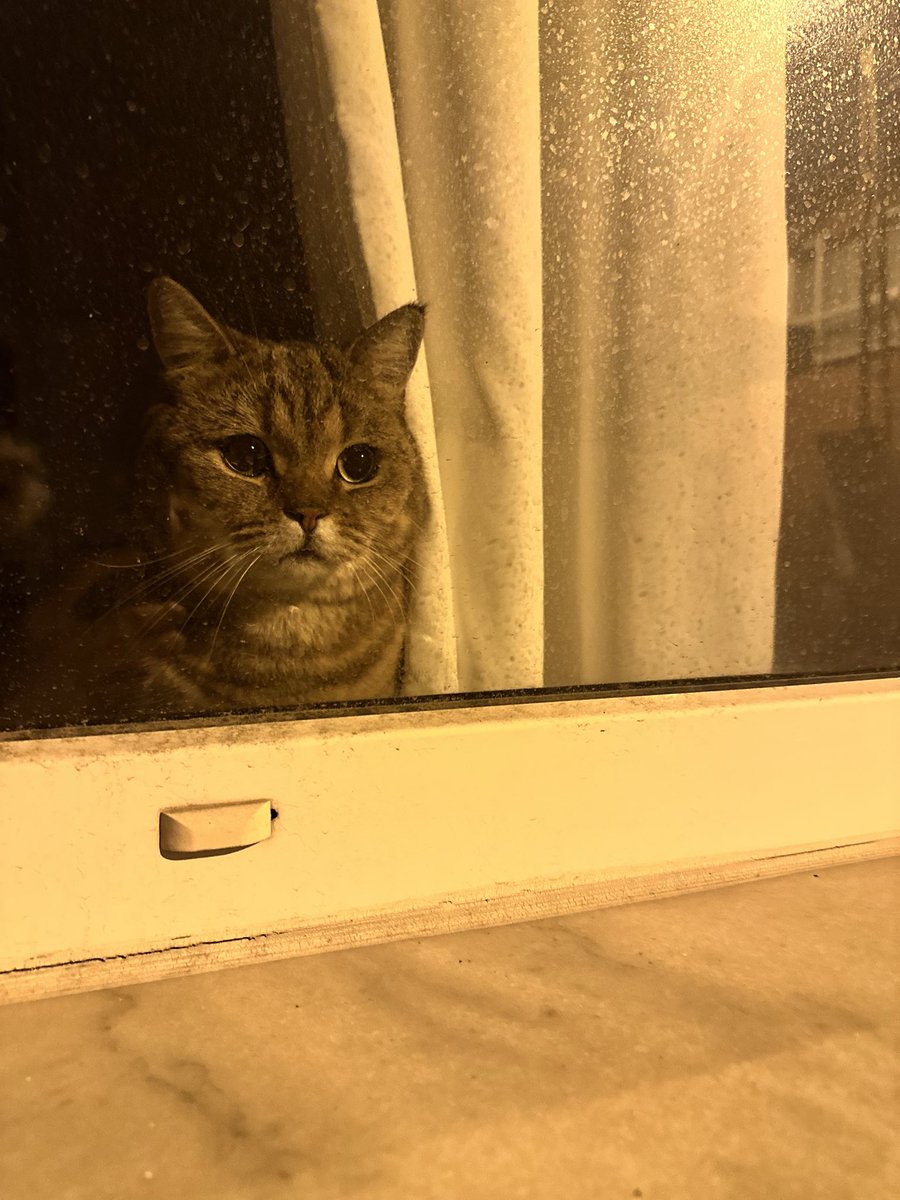 Dışarıya çıkarken de vicdan yaptırmazsın