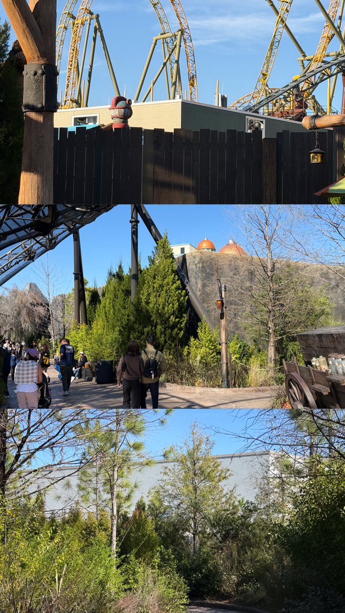 Wessel Wit tweet media