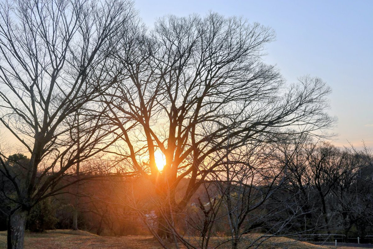 いいトコロ20260215
おはようございます。
晴れの朝をありがとう。
素敵な一日を。

#イマソラ #狭山湖
#朝陽 #朝焼け #街並み
#あの日あの時所沢 #天晴れ
#来てくだ埼玉 #朝活 #散歩
#写真好きな人と繋がりたい
#トコろんと繋がる今日の空
#むなぞーと繋がる今日の空
#世莉奈さんと繋がる今日の空