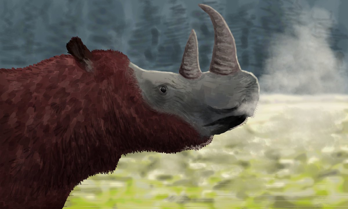 Un rinoceronte de Merck ( Stephanorhinus kirchbergensis) durante una fría mañana del Pleistoceno tardío de Rusia oriental, Siberia