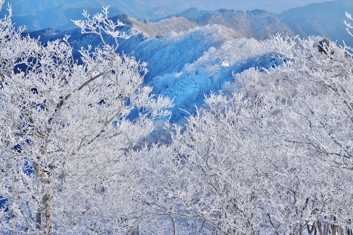おはようございます
高見山山頂からの
樹氷と景色
昨年は見られなかったので
今年は良いタイミングで
行けた👍