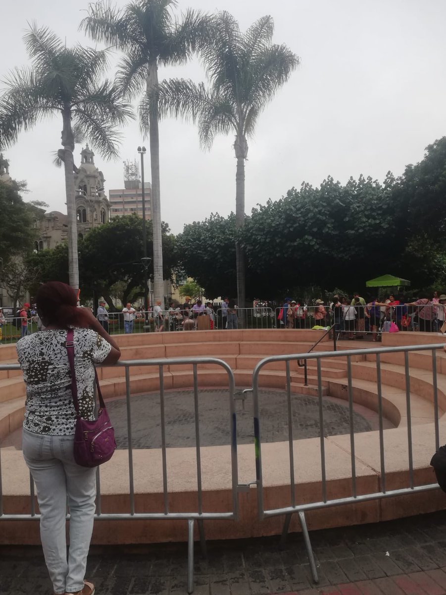 Revocatoria Miraflores tweet media