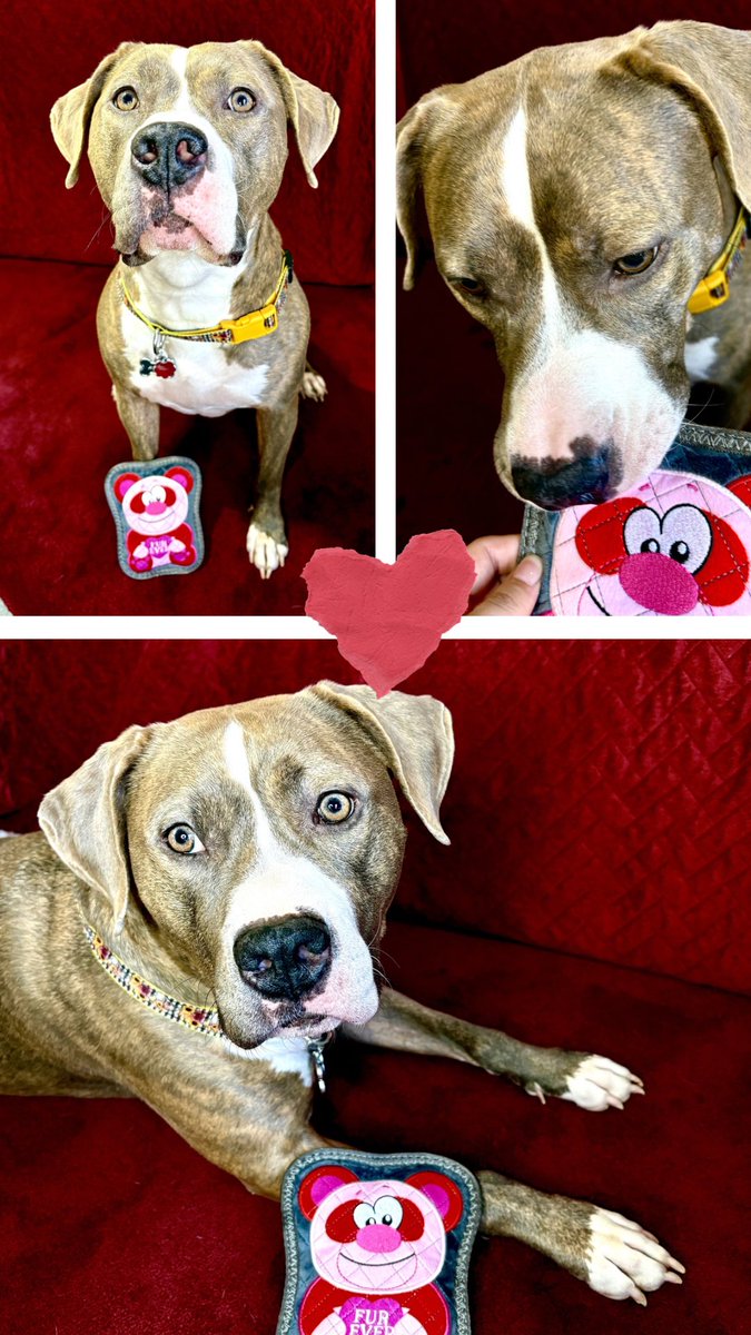 Misty 💙🌻 tweet media