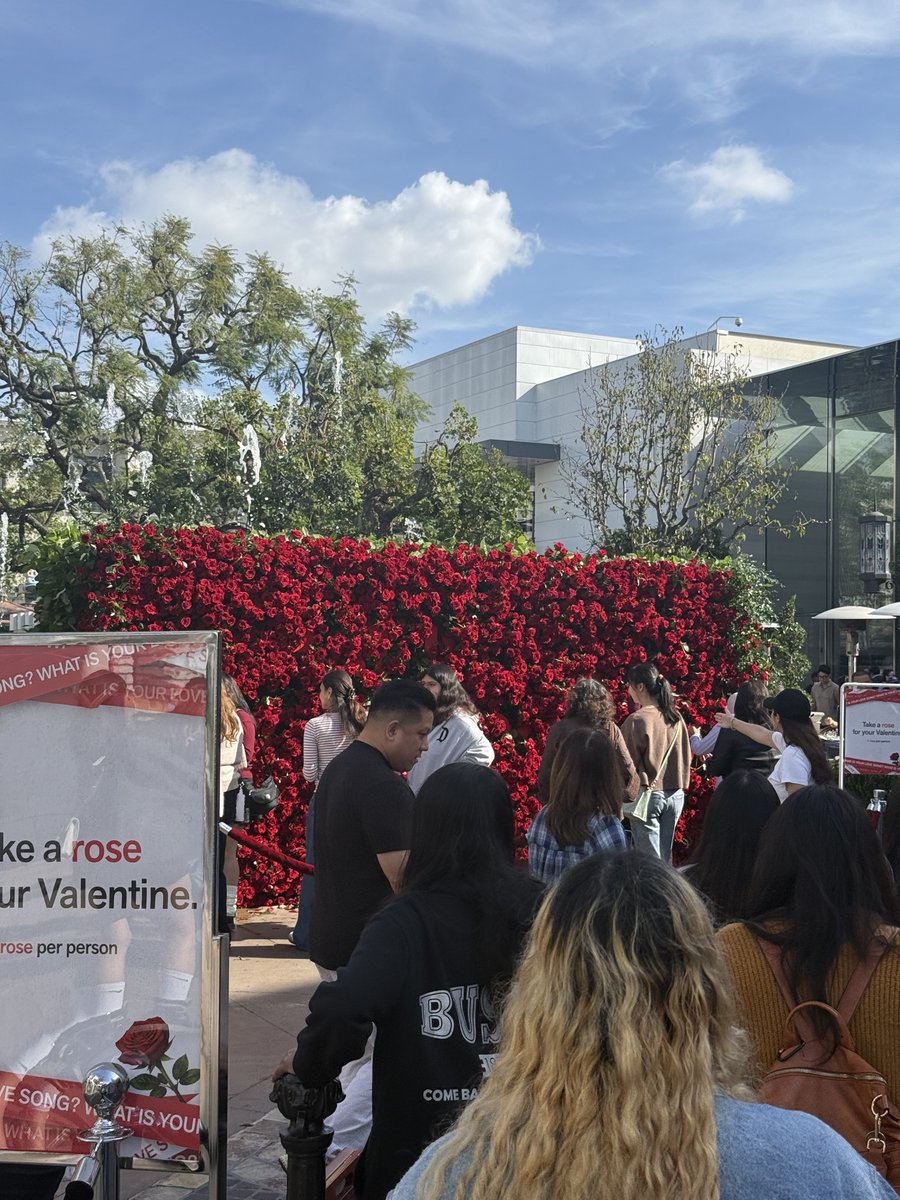 boojwoos's tweet image. there’s so many roses left i wouldn’t worry about not getting one #bts #arirang #thegrove