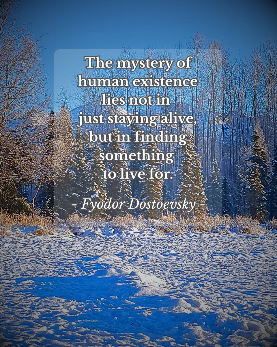 AlaskaLP's tweet image. Protecting children isn’t political.
It’s the baseline responsibility of any serious society.