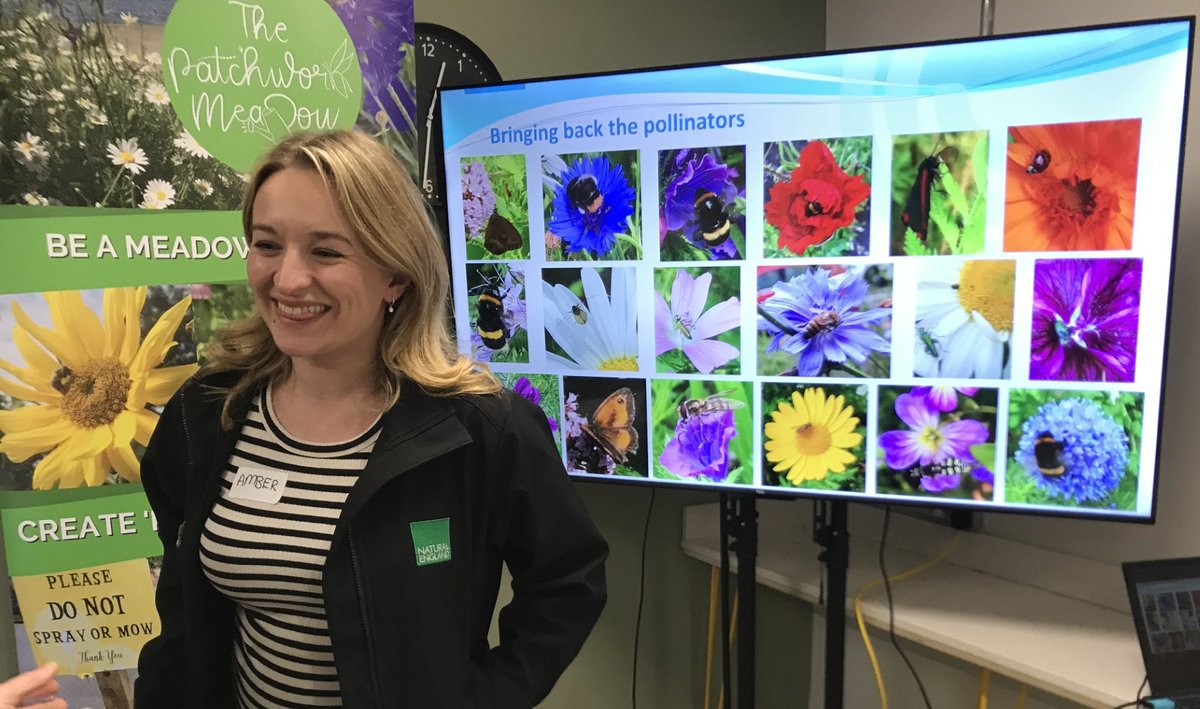 The Patchwork Meadow tweet media