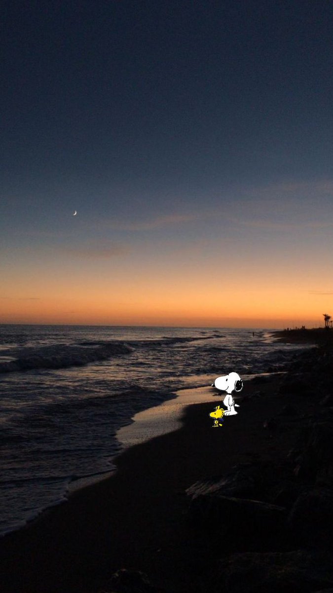 Delifito tweet media