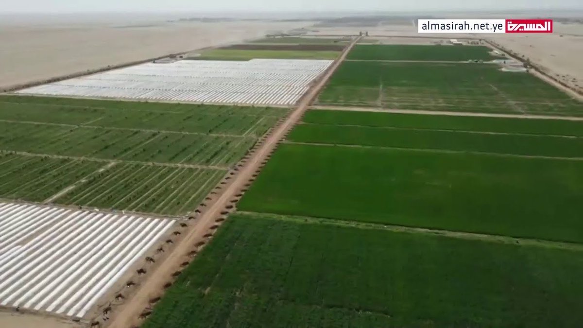 بفضل الله وتوفيقه 

المساحة المزروعة بالقمح في محافظة الجوف ارتفعت من 6,500 هكتار في 2023 إلى أكثر من 18,000 هكتار اليوم.

بوركت الجهود واصلوا السير نحو الاكتفاء الذاتي وتعزيز الإنتاج المحلي مستعينين بالتوكل على الله