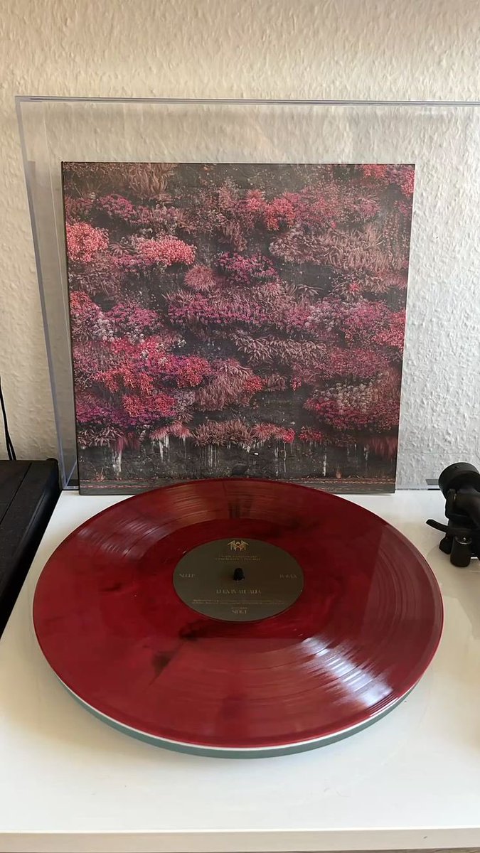 ،، ༢ 𝐻𝐸𝑅𝑀𝐸𝒮 𝐒𝐓𝐎𝐑𝐄 יִ tweet media