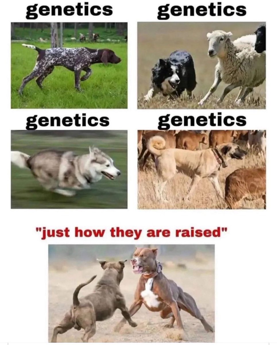 Garbage Human (@garbagehuman24) on Twitter photo 