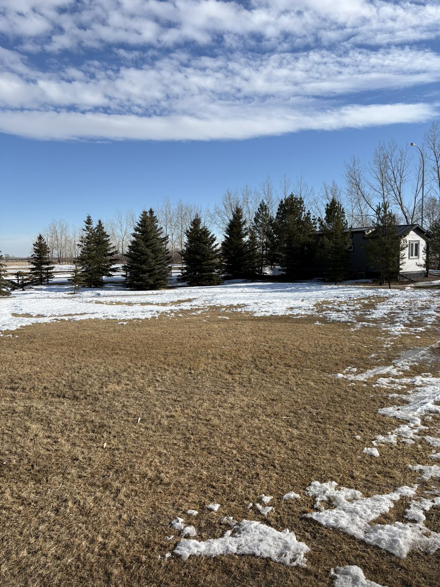 Michelle Mulgrove tweet media