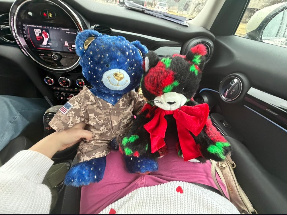 Daughter texted and said she wanted a build a bear for Valentine's day. Sent her money for it! These are the bears her and her BF got