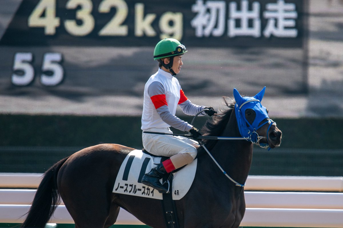 2026.02.14 東京 4R 3歳新馬 ノースブルースカイ×松岡正海 ジョッキー