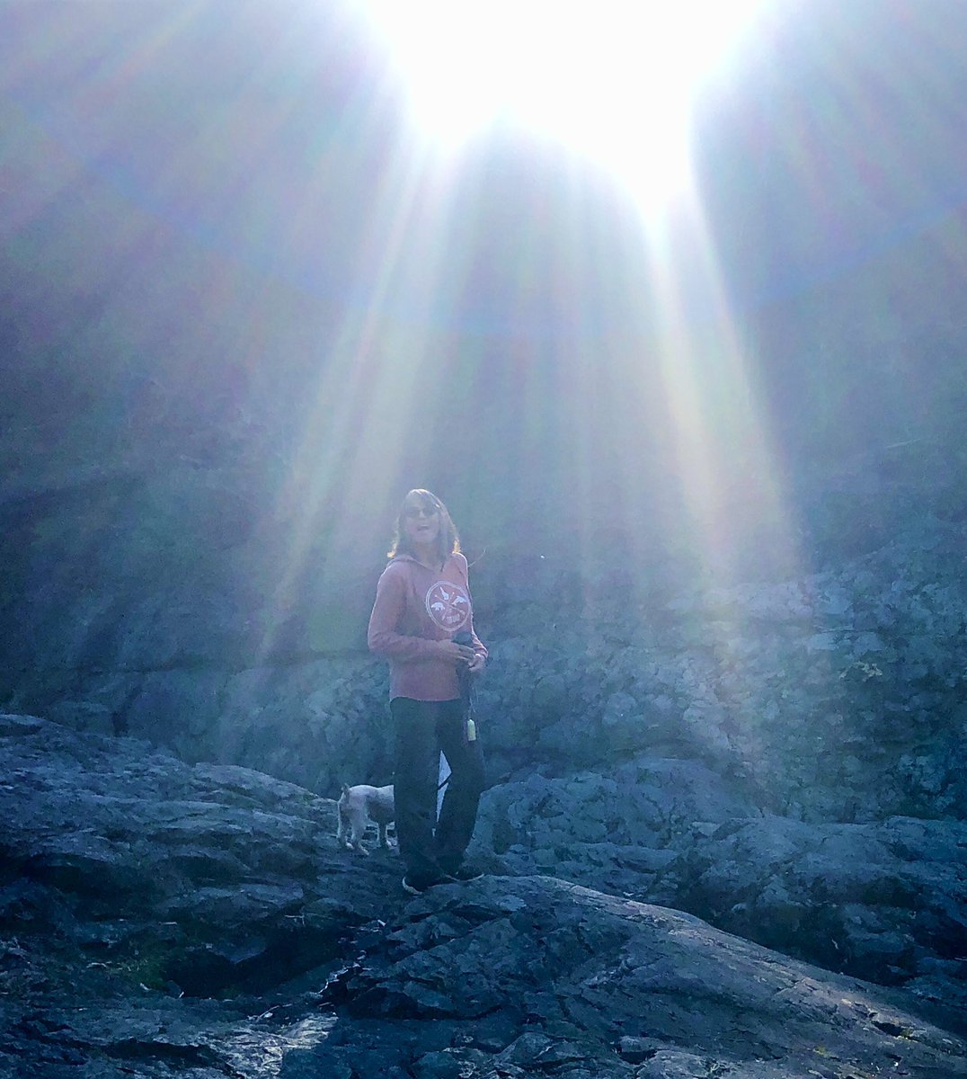 Jim Bottomley tweet media