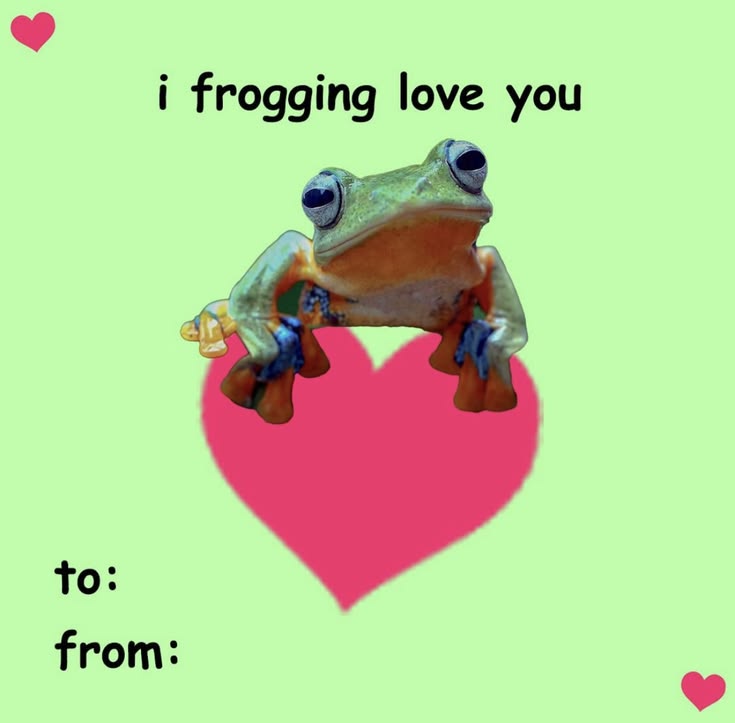 No Context Frogs (@nocontextfrogs) on Twitter photo 