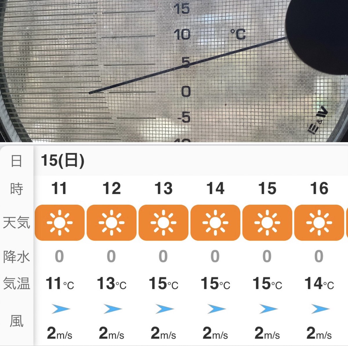 おはようございます♪
今はまだわずかに氷点下ですが、日中は15℃まで上がるとか！一日の中で季節がニつあるかのようです😳
