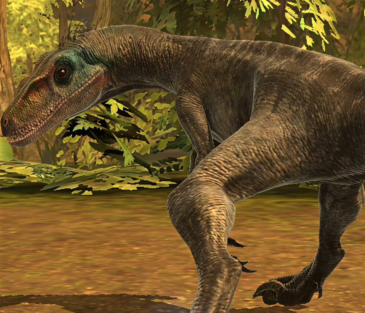 He’s beautiful!

Credit goes to Jurassic_Passion on instagram for these images.