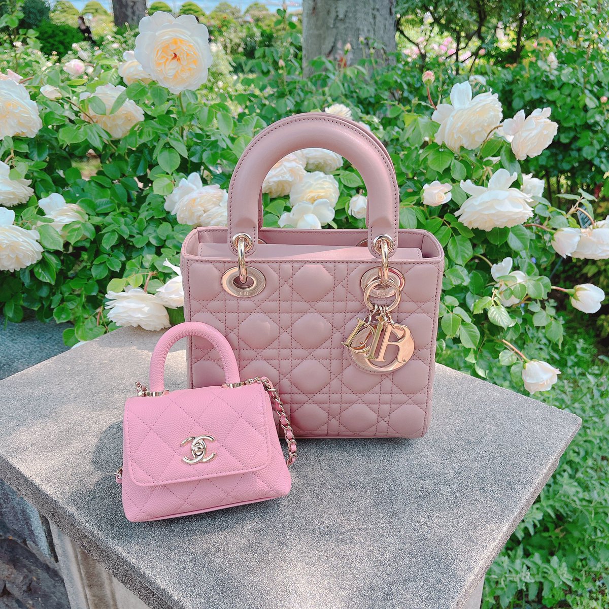 𝓑𝓵𝓸𝓸𝓶𝓲𝓷𝓰 🪡 ྀི tweet media